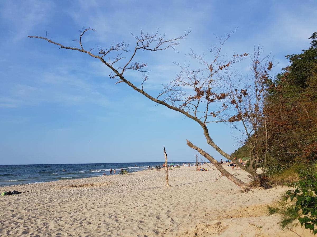 Eden Сasa de vacaciones Kołczewo